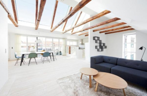 2-bed penthouse with elevator and private terrace, Copenhagen